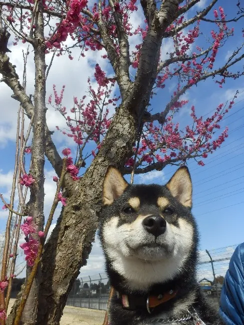 フォト